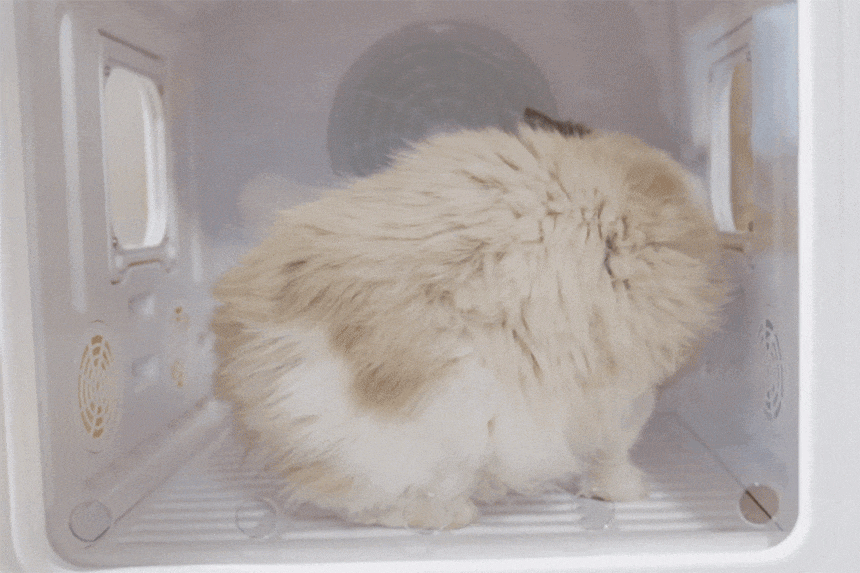 7d7891ddd445109470625c7501fa959b_1772526636_2143.gif